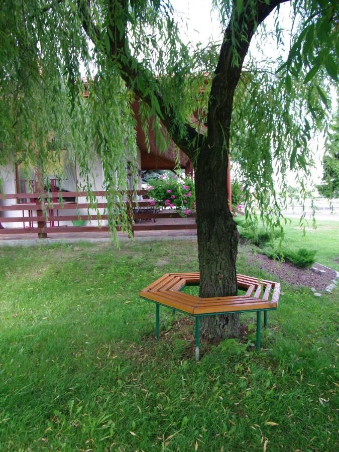 Отели типа «постель и завтрак» Pokoje Gościnne Stare Miasto-34